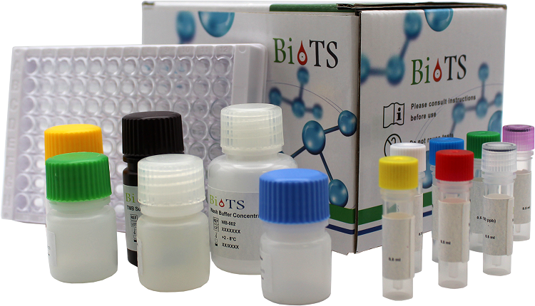 鹽酸克倫特羅定量檢測(cè)試劑盒